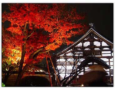 浪漫日本:迷人秋季红叶飘飘美人艳