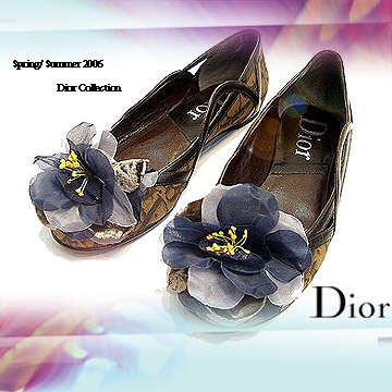 【Dior高跟鞋】