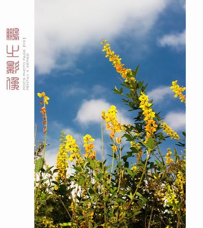 《珠光宝气》剧情介绍【图】_名人情感