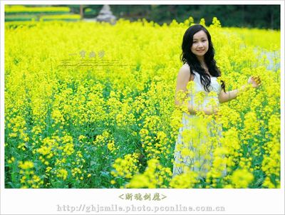 《珠光宝气》剧情介绍【图】_名人情感