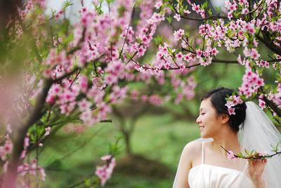 讨婆婆欢心 明星媳妇有秘诀 讨婆婆欢心 明星媳妇有秘诀