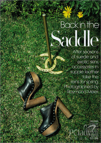 saddle2